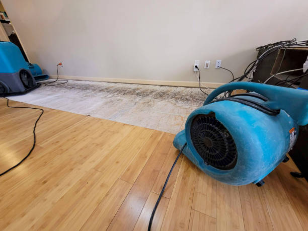 Professional Emergency Water Damage technician working in Summerfield, TX